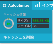 Autoptimize のキャッシュサイズ警告 